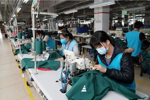 云浮 網格立體戰法彰顯“善德之城”硬核風采，創業空間服務賦能發展新格局